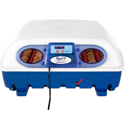 Inkubator za jaja BOROTTO REAL 49