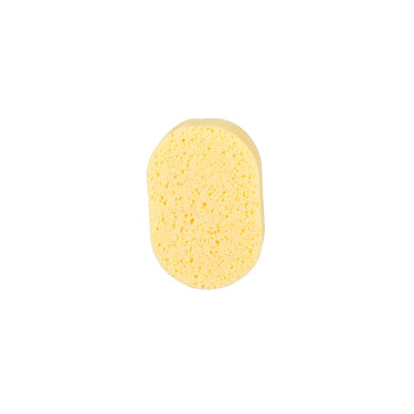 Aplikacijska spužva 