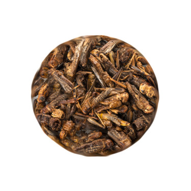 UGF Sušeni skakavci 20 g