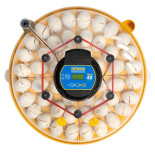 BRINSEA Maxi 48 Advance - automatski inkubator za kokoši i guske