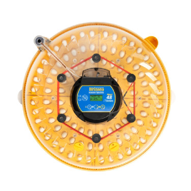 BRINSEA Maxi 48 Zoologica - specijalizirani inkubator za papige i egzotične ptice