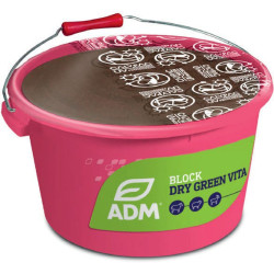 MINERALNA MELASIRANA LIZ BLOCK SUHA GREEN VITA - Priprema za teljenje i suhostaj