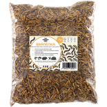 Ličinke muhe Stratiomys 1kg