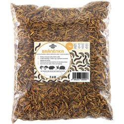 Ličinke muhe Stratiomys 1kg