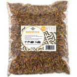 Ličinke muhe Stratiomys 5 kg