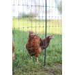 Električna mreža za perad AKO PoultryNet Premium 25 m, 106 cm, zelena, dvostruki šiljak