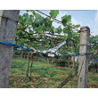 Ručni polužni sajleni vitlo KERBL 37117 HAND POWER PULLER 3 m / 1250 kg