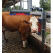 Četka za goveda Euro Farm s oprugom