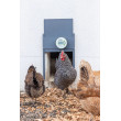 Automatsko otvaranje i zatvaranje kokošinjca KERBL DUO PRO – komplet sa vratima vel. S (70530)