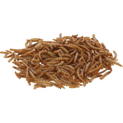 Sušene ličinke brašnara (mealworm), 900 g, Kerbl