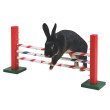 Agility skok za glodavce