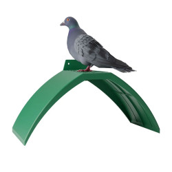 Odmorište za golubove