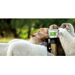 Mineralna sol za lizanje za ovce i koze, 10 kg