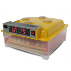 Automatska digitalna valionica WQ-56. Za 56 jaja.