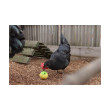 Hranilica za perad – kuglica za zrnje za kokoši, 7,5 cm