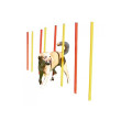 Kerbl agility prepreke za pse, set