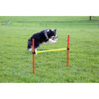 Kerbl agility prepreke za pse, set