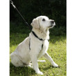 Stezna orma za pse Maxi Leader