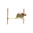 Kerbl agility prepreke za pse, set