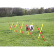 Kerbl agility prepreke za pse, set