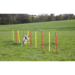 Kerbl agility prepreke za pse, set