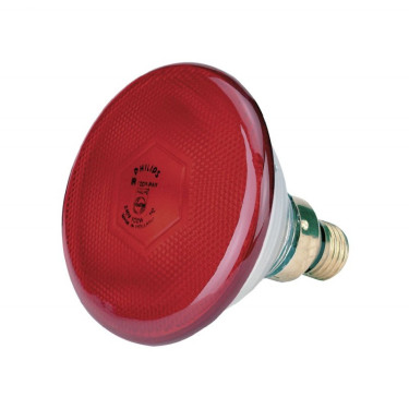 Infracrvena žarulja Philips PAR, crvena