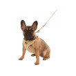 Oprsnica za štence i male pse Puppy