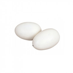 Veća umjetna jaja, veća podloga za perad, plastična