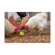Hranilica za perad – kuglica za zrnje za kokoši, 7,5 cm