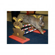 Agility dvostruka varijabilna prepreka za zečeve i druge glodavce - zečji hop