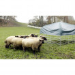 Mobilno sklonište za ovce i koze s ceradom, 2,75 x 2,75 m