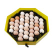 Rotirajuća rešetka za kokošja jaja za valionice CLEO SLEPICE