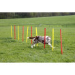 Kerbl agility prepreke za pse, set