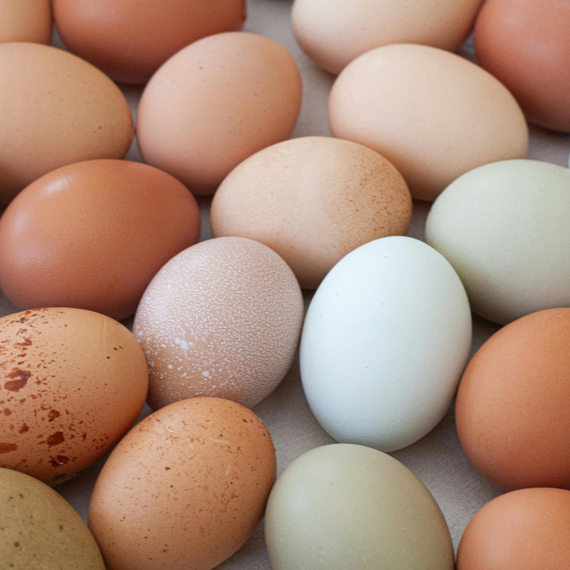 Uskrsna kokoš: šarena jaja bez bojanja