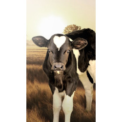 Telfid Sol Acid - mliječna hrana za životinje. mješavina 25 kg