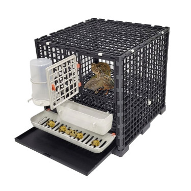 Kavez za prepelice AGROFORTEL AGF-QC-1 - modularni za 10 prepelica